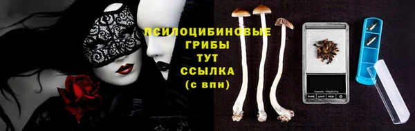 MDMA Аркадак